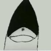 tomekart 的头像