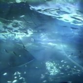 水面に太陽光線