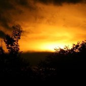 AutumnalLandscape
