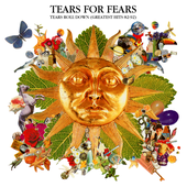 tears-roll-down-greatest-hits-82-92