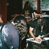 Acrassicauda 