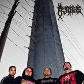 morbus 2010