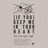 AA - The Twilight Sad - (If You) Keep Me In Your Heart