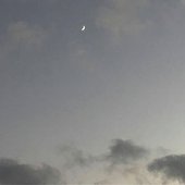 zyuzi