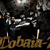 Promo