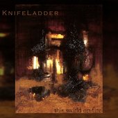 This World On Fire