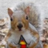 Avatar di Squirrelking