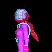 ab6761670000ecd448485e9d1cebed25172a5b8e.jpg