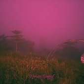 IMG_5521.jpeg