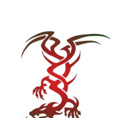Avatar di xserver2003