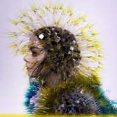 bjork