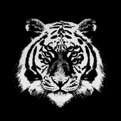 TexturedRat için avatar