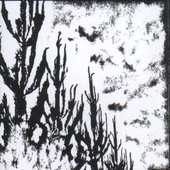 Ceux qui Voient dans la Nuit