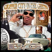 why do people dislike parental advisory logos.jpg