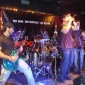 torment the vein
