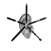 eelogo.png