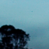 flying children