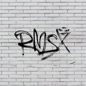 rmsx11.jpg