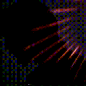 Ryannn- 的头像