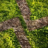 NYC (Ollie Macfarlane Remix)