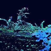 Floating Off The Earth