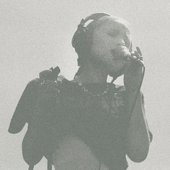 Becky and the Birds