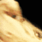Avatar for kelvingba