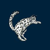 Yuki Leopard.jpg