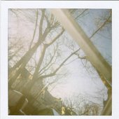 Fall