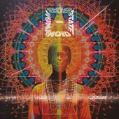 In Place of Language