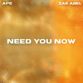 Need You Now - Single