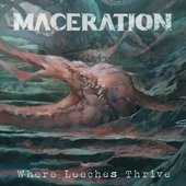 Where Leeches Thrive