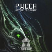 Anatomy of chaos EP