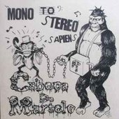 Mono to Stereo Sapiens