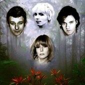rain-forest-ps2.jpg