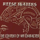 The Content Of My Character