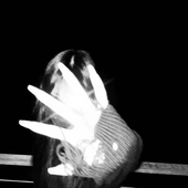 Avatar for xu7