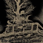 The Screed Of Vermins