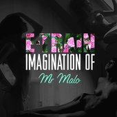 E-TRAIN - Imagination of Mr. Malo