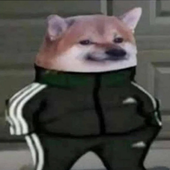 Avatar for bart2770