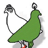 Swings And Roundabouts