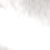 Embodiment