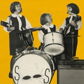The Shades 1966.jpg