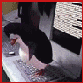 Avatar for LJR69