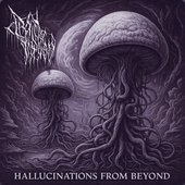 Hallucinations From Beyond
