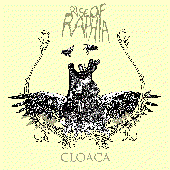 Cloaca