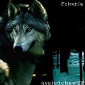 Avalanchas