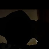 IMG_5062.jpeg