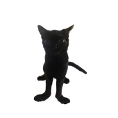 Avatar for vickhj