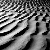 Album art for Manusia by Lelap